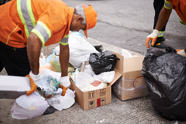 Best Basement Cleanout in Shark River Hills, NJ